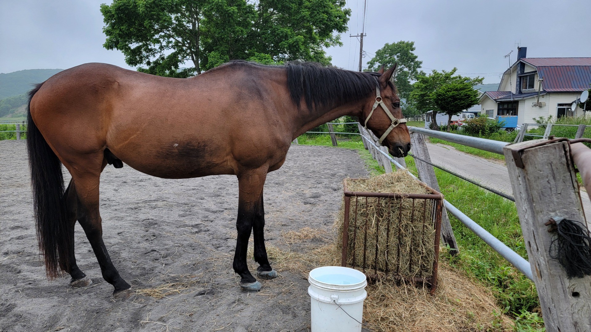 cafe8668e5dd5d5555b45ef60782b450-1760935579.jpg cafe8668e5dd5d5555b45ef60782b450-1760935579.jpg